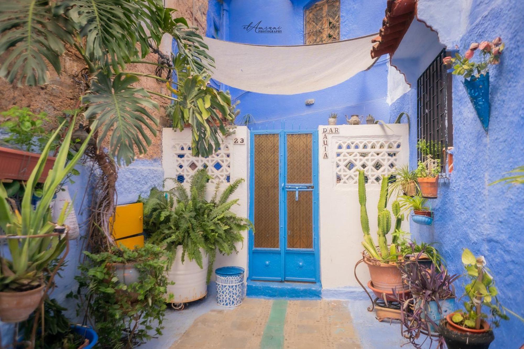 Dar Dauia Apartment Chefchaouen Luaran gambar